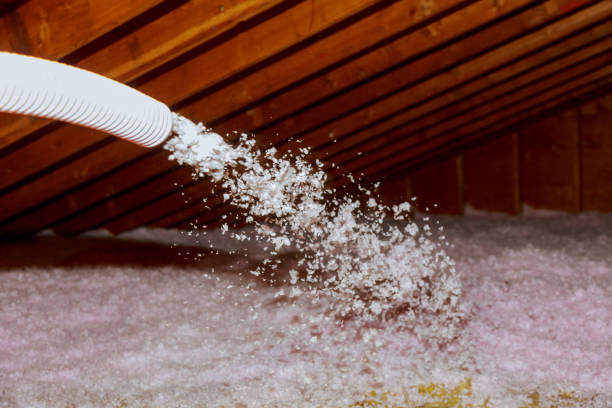 Best Insulation Maintenance and Repair in Kilgore, TX