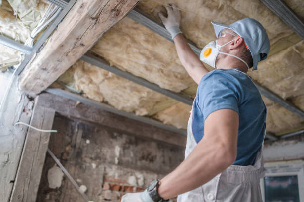 Best DIY Insulation Kits and Guidance in Kilgore, TX