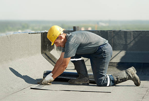 Best Specialized Insulation Services in Kilgore, TX